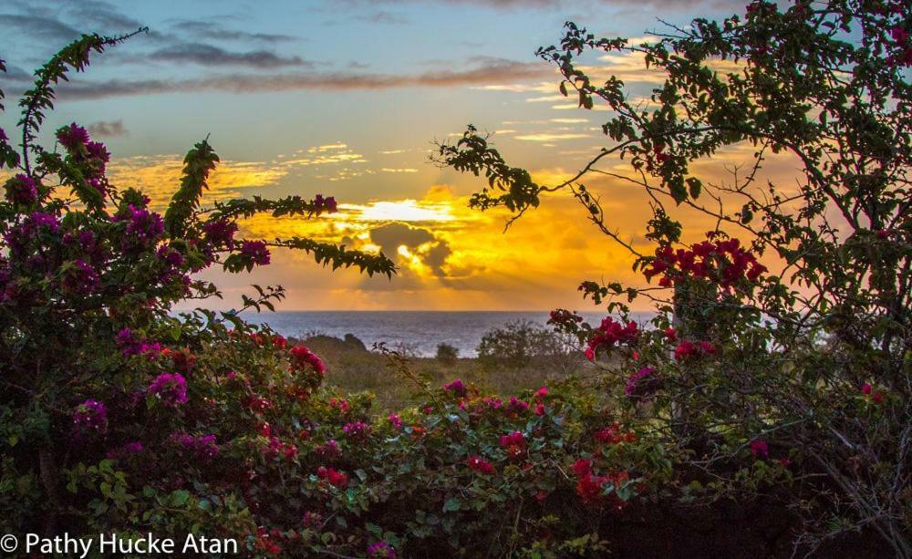 Kona Koa Lodge 앙가로아 외부 사진